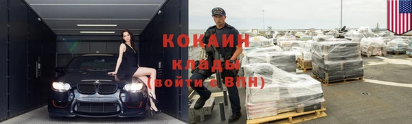 прущие грибы Абинск