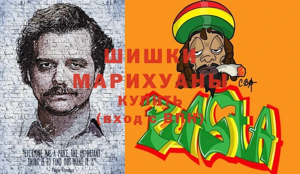 прущие грибы Абинск