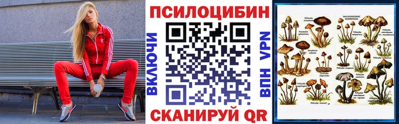 Псилоцибиновые грибы Psilocybe  Лысково 